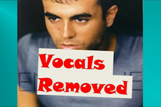 remove vocals from your tracks