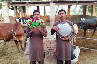 do crazy funny happy birthday wishes video or spokespersons