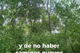 write for you the most beautiful poems in spanish