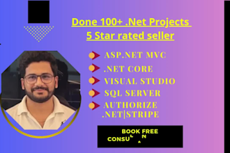 create professional dotnet web apps with clean code, fast delivery