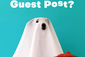 provide you with paid guest post services