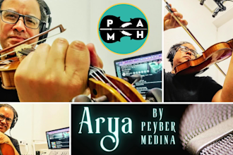 professional violinist for any genre high quality recordings 24 hours