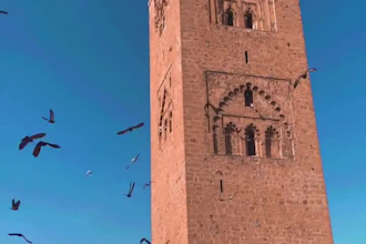 record a video of the places of your choice in the city of marrakesh, morocco