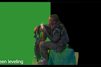 do video rotoscoping,cg background removal,chroma key, premiere pro film cleanup