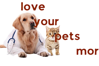build a professional pet care and accessories shopify store, dog products store