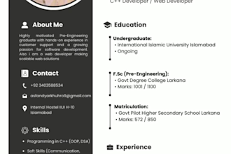 craft a stylish, professional, job winning CV or resume
