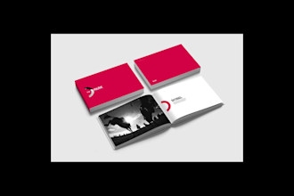 develop a premium brand identity with logo, guidelines, and visual strategy