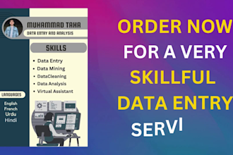 do a virtual assistant, data entry, brand logo design, data cleaning on excel
