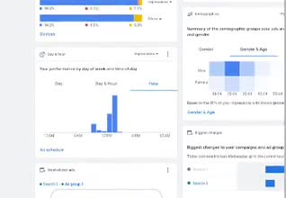 do google ads verification bov, remove suspensions in 24hrs