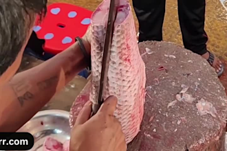 make fish cutting videos for your youtube channel