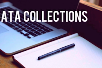 providing fast reliable data entry services