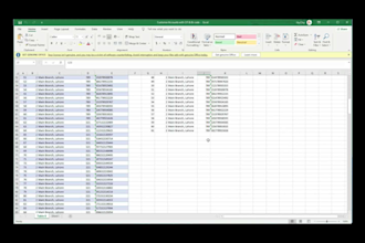 do any excel and access work