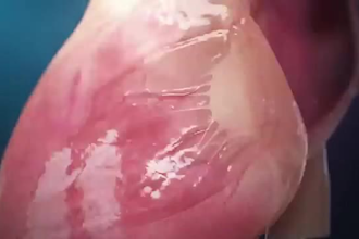 do hight quality 3d medical animation video, 3d modelling