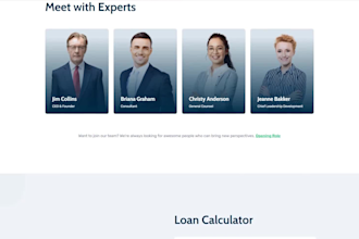 build a business, portfolio, consultancy, financial, company website for you