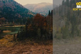do professional color grading for cinema,short films,ads
