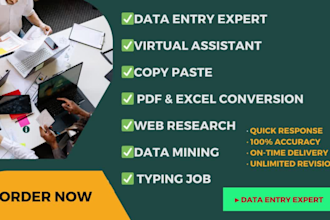 do data entry, copy paste, data collection, data mining, and pdf to excel