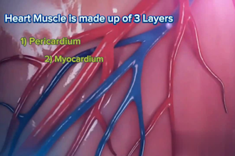 create realistic 3d medical animation, medical video, 3d medical animation video