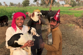 make african happy birthday video or indian spokesperson