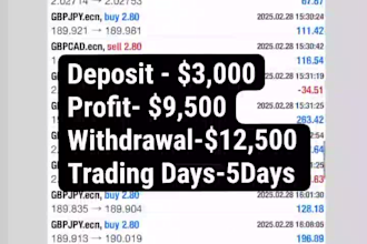 provide forex trading bot, forex trading robot, forex robot, gold ea