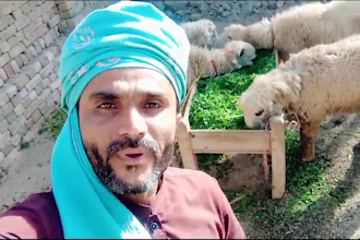 make crazy africa happy birthday wish video and be indian spokesperson