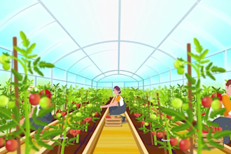 create a 2d animated explainer video with motion graphics