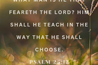 design beautiful bible verse and instagram posts for you