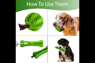 create great dog product photography