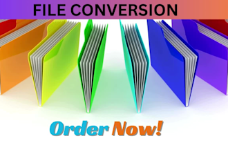 do file conversion, any file convert in 1 hour