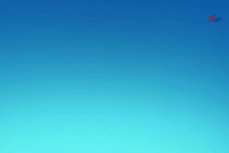 do 2d anime fighting, 2d japanese anime style, anime fighting scene animation