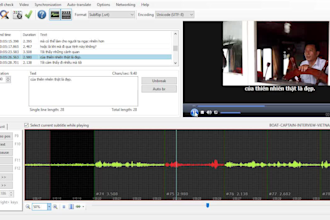 provide subtitle srt format, closed caption for video