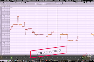 mix, master, correct pitch and autotune your vocals using tracks