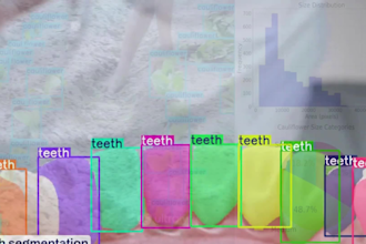 do realtime sports, object detection, tracking counting, yolo, opencv, mediapipe