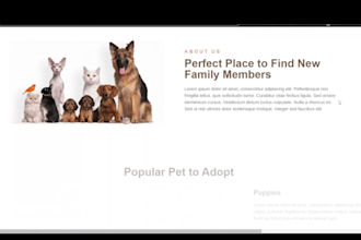 create a wordpress premium site for a pet care center or business