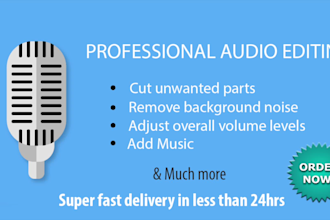 professionally edit and clean your audio