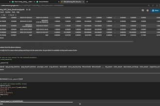 deliver data cleaning visualization and eda professionally