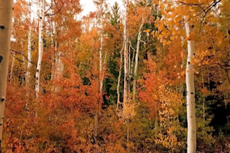 create youtube channel 50 relaxing meditation music videos