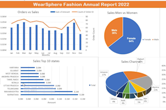 create professional excel dashboard, charts and pivot tables