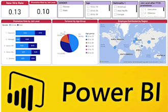 provide power bi, power query, bi automation services