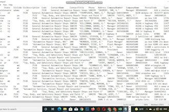 do excel data cleaning , sorting and formatting