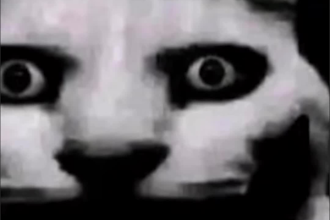 make you a personalized scary cat story video