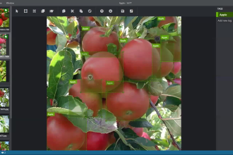 do image annotation with point