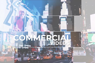 professional video editing in premiere pro within 24 hours