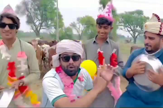 make crazy african happy birthday video or funny greeting video