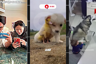 edit viral shorts for youtube,facebook which include sigma,animal edits