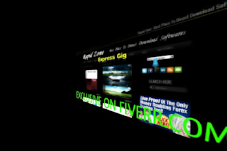 advertise your BANNER for 14 Days on my Website 150000 monthly impressions
