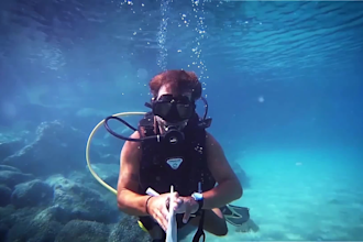 write a underwater happy birthday message