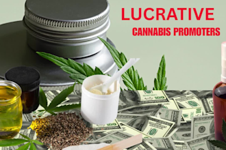 promote your cbd, cannabis, hemp, vape product ensure real cbd website traffic