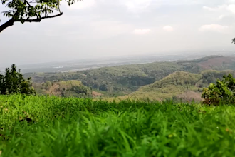 record real rain natural indonesian videos copyright free