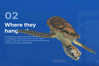 create interactive 3d animated website, webflow website, 3d shopify, spline