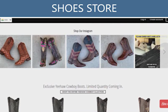 create and manage shopify dropshipping store
